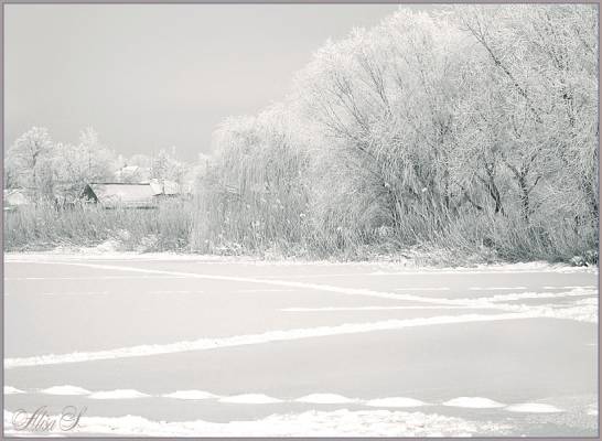  2010.