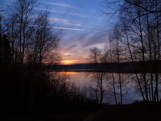 ���� ����������