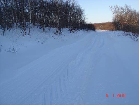 ��� ������