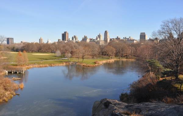 Central Park