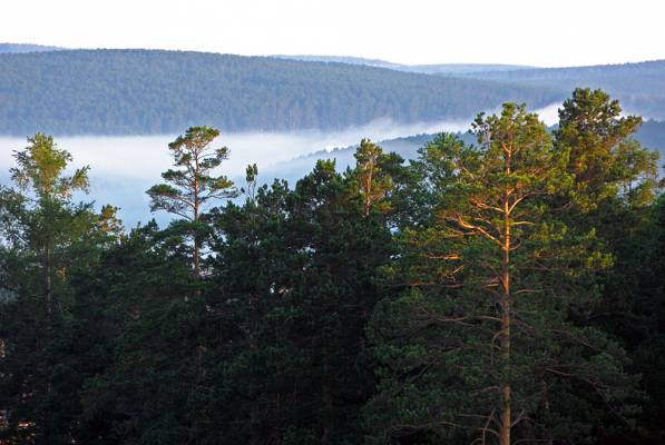 ��� �� ����