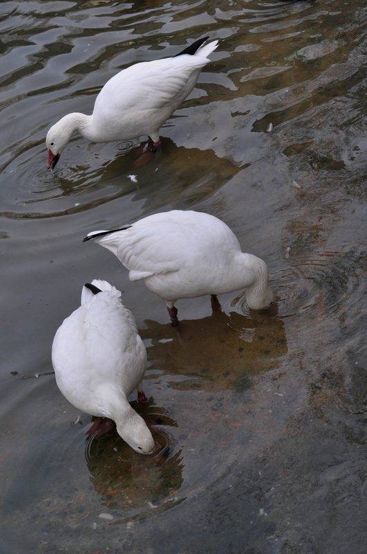 � ��� �� �� ��� ������?