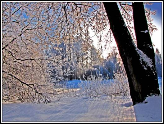 ��� ���� � ����