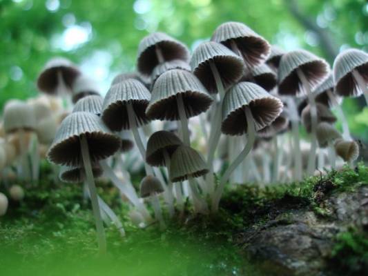 ��������� �����