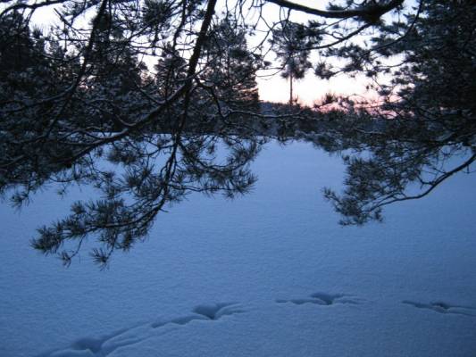 ���� � ����