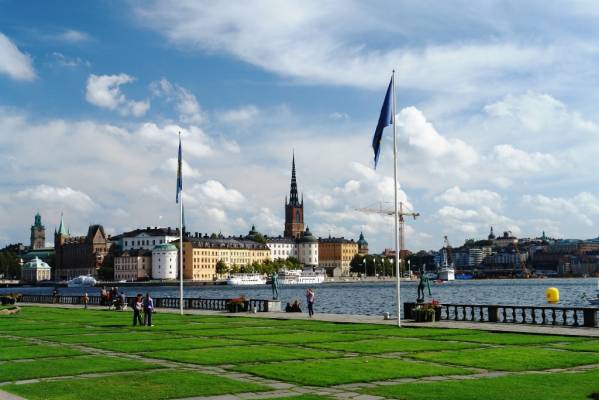 view from the City Hall