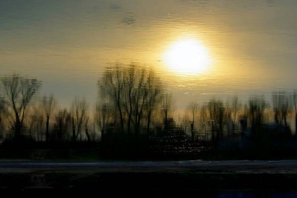 ----------------------