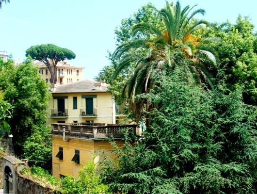 St. Margherita - first steps:)