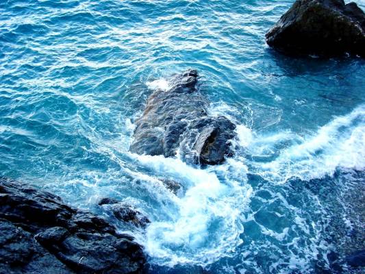 on a way to Portofino