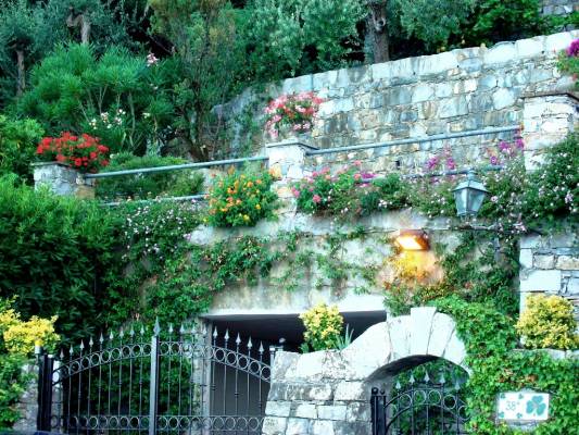 anyway all the villas are nice)