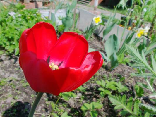 ������� ��������� ... 