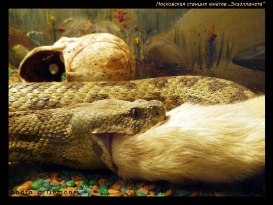 ����� � �����