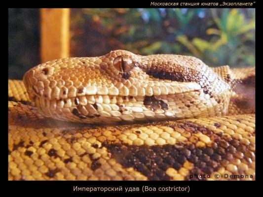 ������������� ����