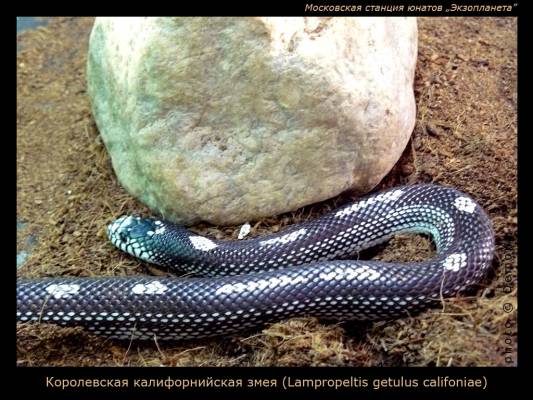 ����������� �������������� ����