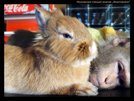 ������+��������