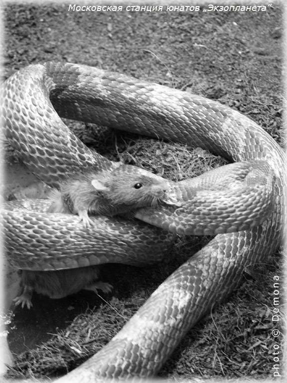 �����-���������