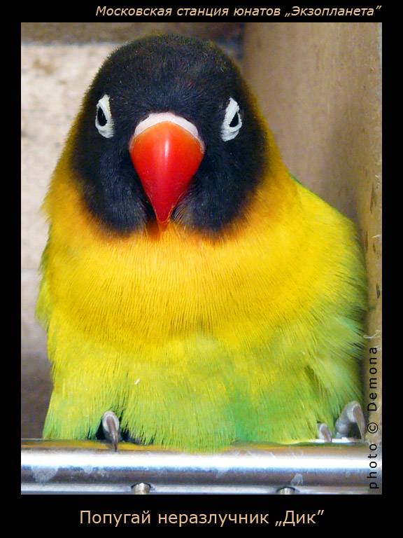 ������� �����������