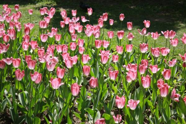 �������� ������