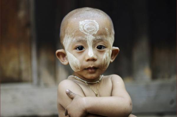 ����� 2010