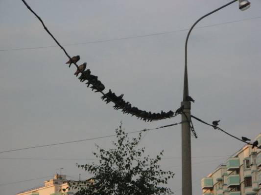 ������� �����=)