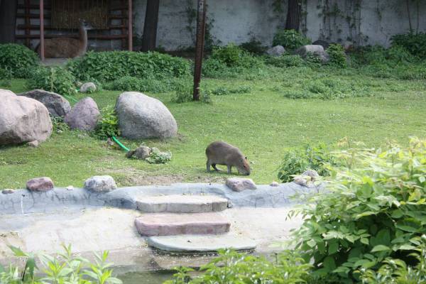 �����-�� ������