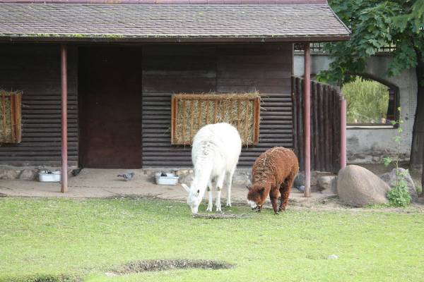 � ������ � ������ ����� ���� ����������