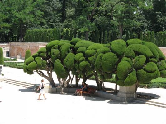 �������������� ����