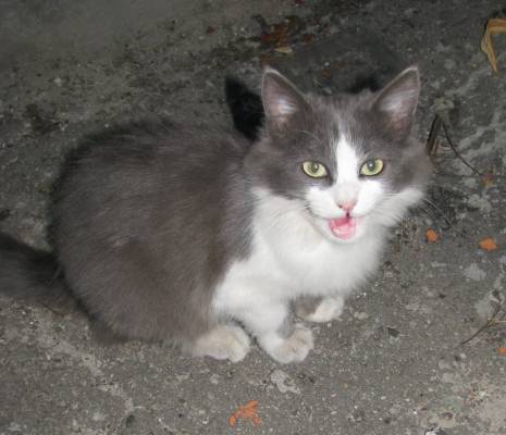 ���������... ������ �� �����?