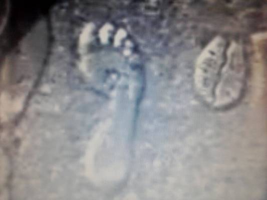 ������ �����