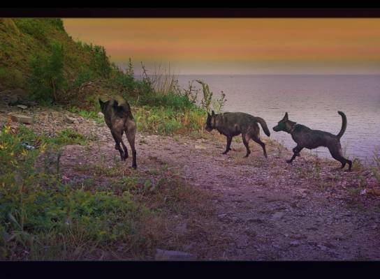 �������