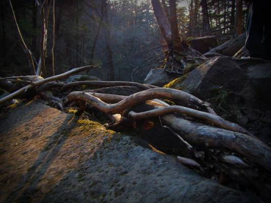 ��������� ���