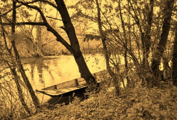 �� �����...