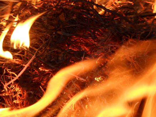 ����, �� �������� � ����..