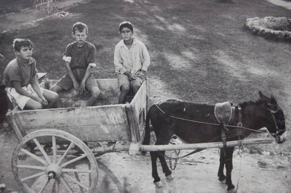 ��������3