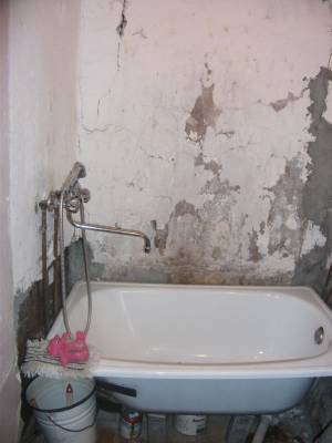 ����� ����� �������