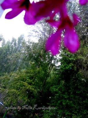 � ������ � �����..