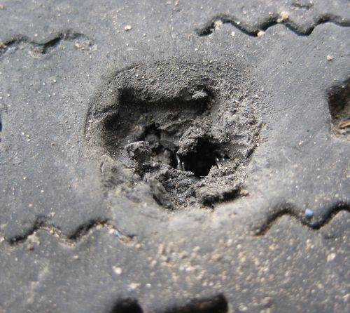 ������ ������