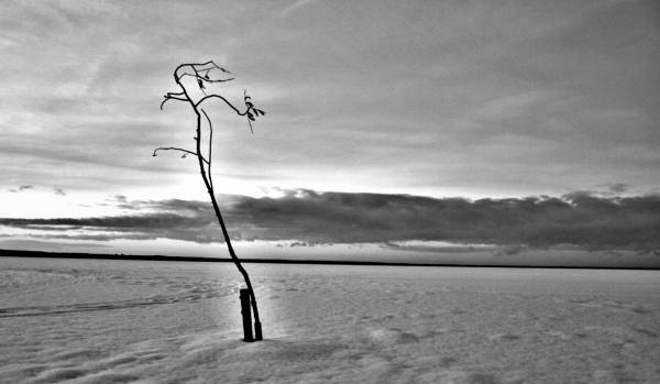 alone