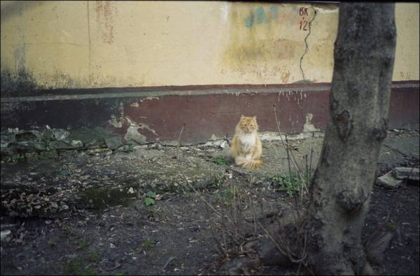 ВК 12