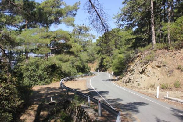 ������ ��� ���� � ����