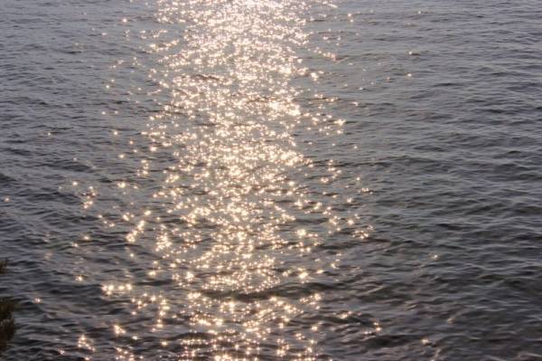 ���� ������