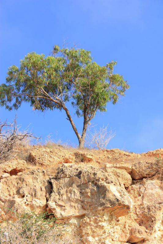 �������� ������