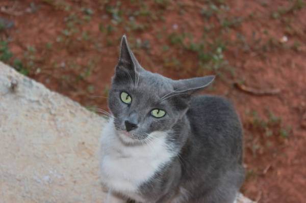 ������ ��������������