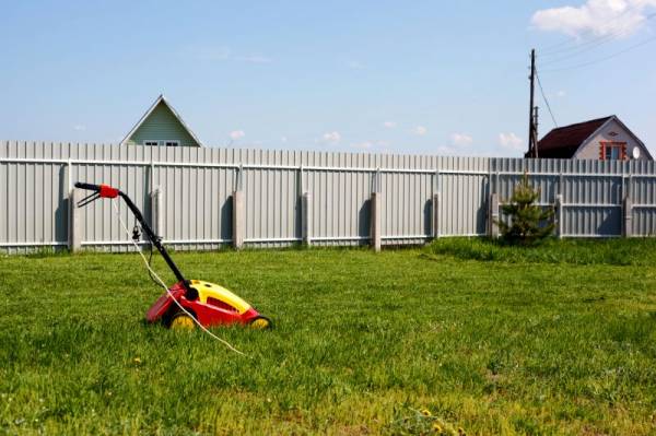 ����� � �������...