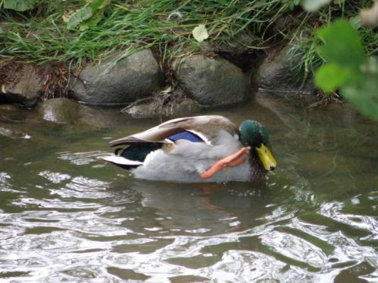 ��� �����!