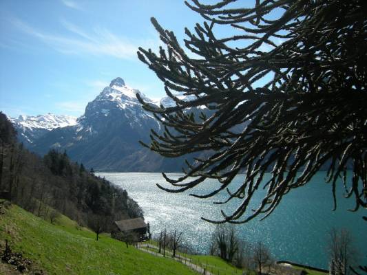 Цюрихское озеро, весна