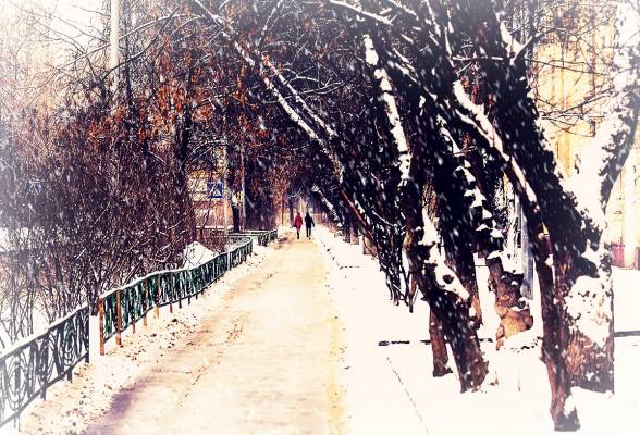 Зима в городе