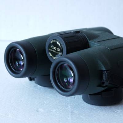 Visionking 8x42