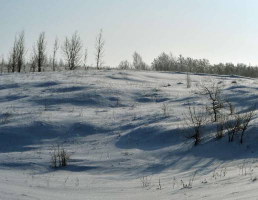 Картинки с прогулки ll