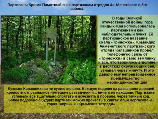 пАРТИЗАНЫ кРЫМА